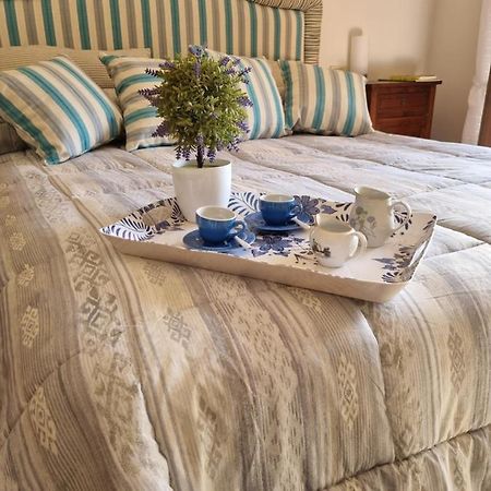 Dimora Fiore Apartman Lucca Kültér fotó
