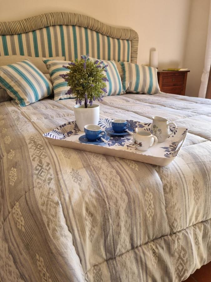 Dimora Fiore Apartman Lucca Kültér fotó
