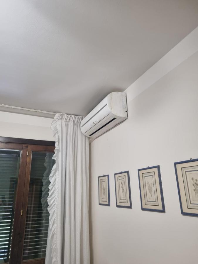 Dimora Fiore Apartman Lucca Kültér fotó